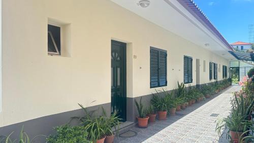 Santana Wohnung | Sea and Sun 4 You - Villa Jardim