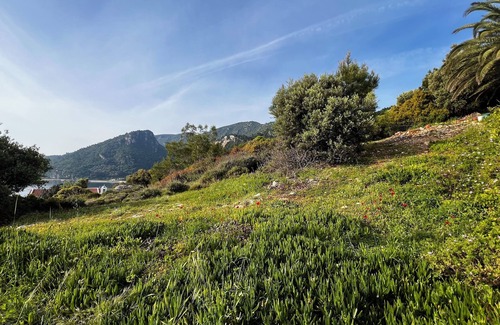 Avlakia Wohnung | Seafront studio with terrace