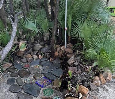 Placencia Haus | Seagrape Escape