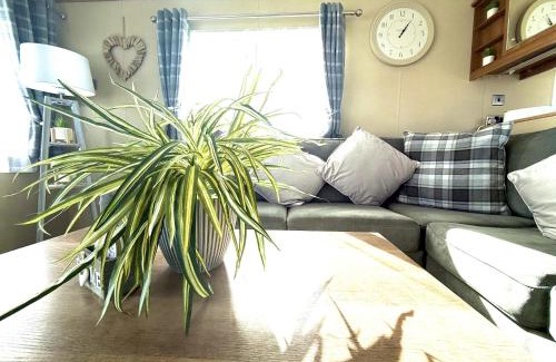 Cayton Bay Haus | Seashell Retreat