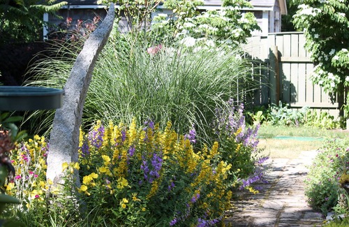 Campground Landing Haus | Seaside Garden: 2 Minuten zu Fuß zur Bucht, friedlich, privat, Vogelparadies