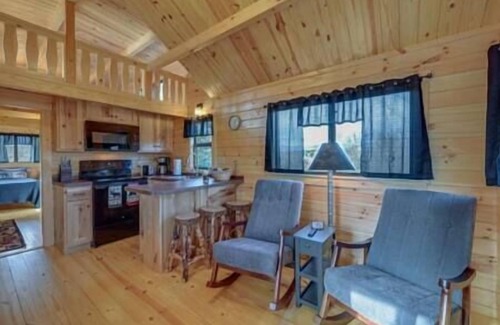 Traphill Haus | Secluded hillside cabin with mountain views!