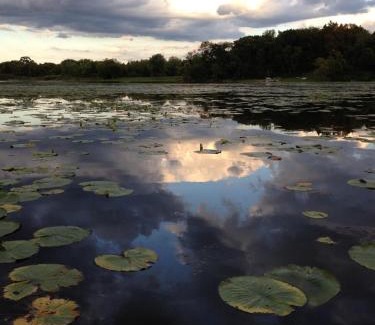 Ingleside Haus | Secluded Lake Retreat - Private Beach, Pier & Fire Pit