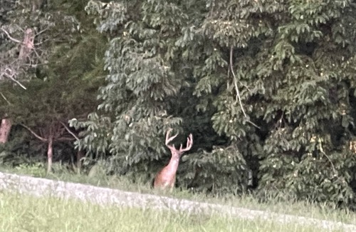 Thomasville Wohnmobilvermietung | Secluded RV/Camper Spots