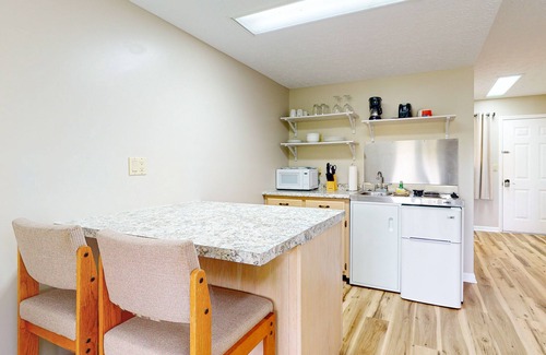 Baneberry Wohnung | Second-floor, dog-friendly studio with quiet views & gym - walk to Douglas Lake