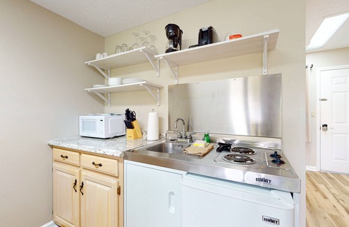 Baneberry Wohnung | Second-floor, dog-friendly studio with quiet views & gym - walk to Douglas Lake