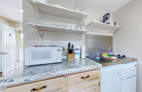 Baneberry Wohnung | Second-floor studio with quiet view, patio & gym - walk to Douglas Lake, dogs OK