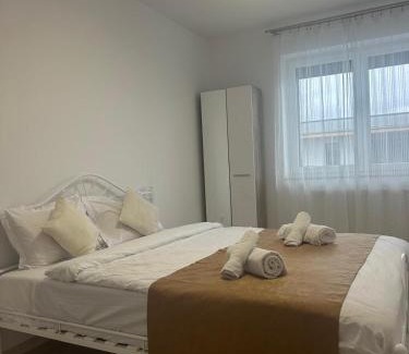 Brasov Wohnung | Selina Apart Transilvania Coresi