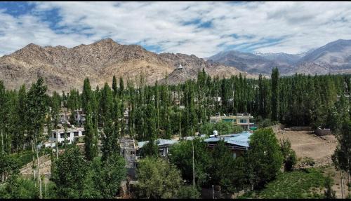 Leh Haus | Semskit Guest House