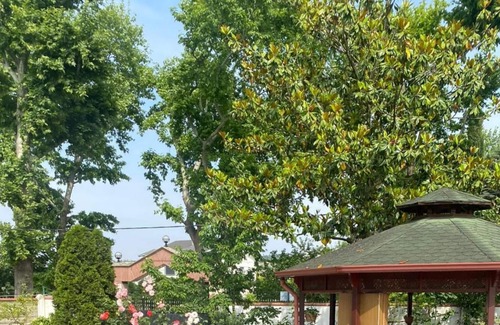 Samanl Villa | Serene Luxury Villa with Private Pool in Yalova