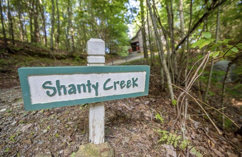 Chatsworth Kabine | Serene Rustic Cabin Getaway - Pet -Friendly!