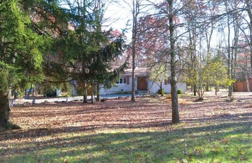 Jim Thorpe Haus | Serenity and Fun all in one in this Cozy Pocono Cabin
