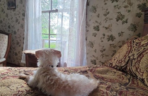 Island Falls Resort | Sewall House Yoga Retreat