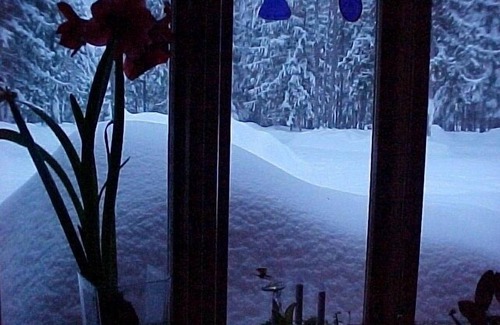 Troy Kabine | Sha Bär Kabine, auf dem Yaak RIVER ~ Ruhig, Romantische Kabine Platz für bis zu 4