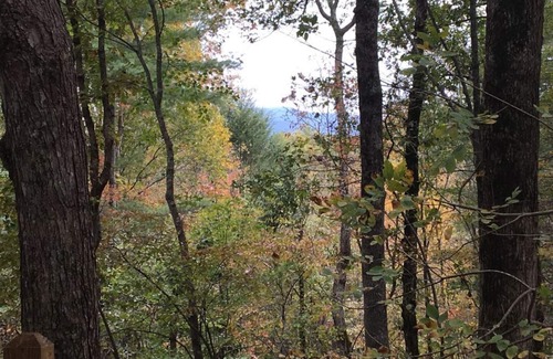 Ellijay Kabine | Shady Hollow - Romantischer Kurzurlaub für Paare mit Whirlpool, Internet und Kabel!