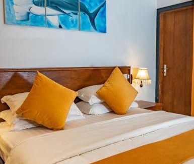 Fuvahmulah Haus | Shark Lounge