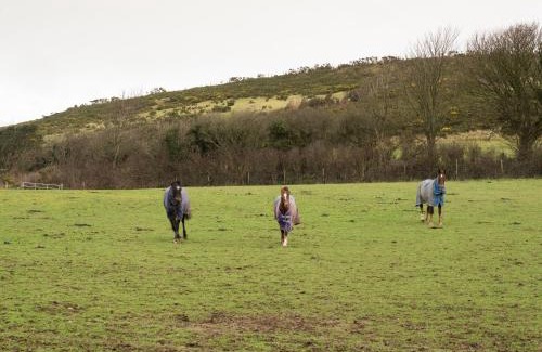 Llangranog Haus | Shepherds Rest Llangrannog