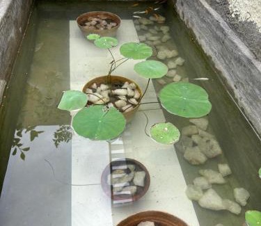 Vadavalli Haus | SHI's Isha Homestay in Coimbatore