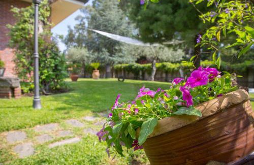 Mascalucia Haus | Sicily's View