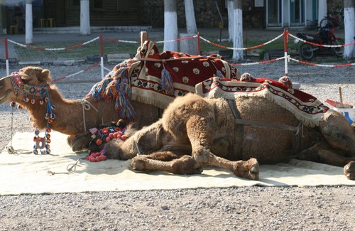 Side Haus | Visually stunning high-tech apartment in Side, close to town and beach