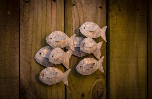 Whanganui Hotel | Siena Motor Lodge