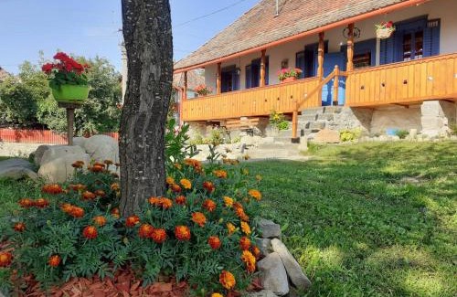 Siclod Haus | Siklód. Botond Panoráma Kulcsosház (6 fő) Botond Panoramic Chalet