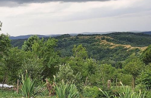 Siclod Haus | Siklód. Botond Panoráma Kulcsosház (6 fő) Botond Panoramic Chalet