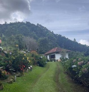 Sao Pedro da Serra Haus | Sitio com piscina natural e cascata, com linda vista em Lumiar.