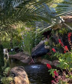 Sao Pedro da Serra Haus | Sitio com piscina natural e cascata, com linda vista em Lumiar.