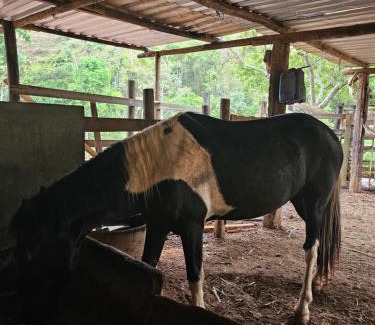 Werneck Haus | Sitio Reis Membeca