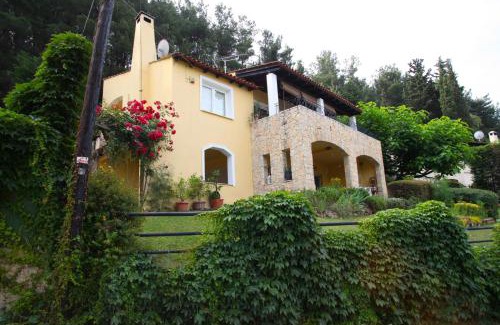 Zigos Haus | Six Steps From The Forest