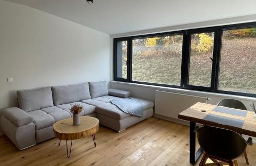 Janske Lazne Wohnung | Ski&Bike horský apartmán 502