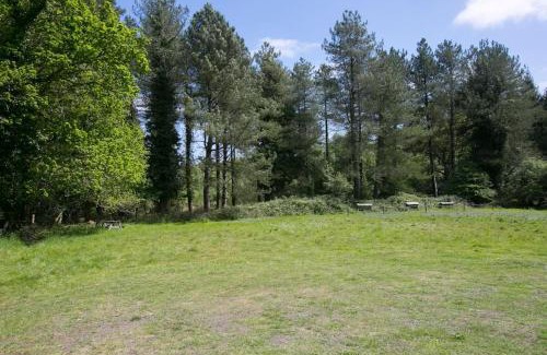 Wareham Wohnung | Sky Cabin. Cosy Forest Log Cabin 3 night minimum