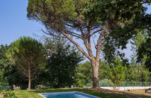 Cardielos Haus | Sky House by Everkind