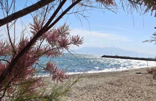 Kallikratia Wohnung | Sky Rooms