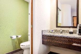 Columbus Hotel | Sleep Inn & Suites Columbus South