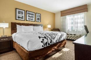 Devils Lake Hotel | Sleep Inn & Suites Devils Lake