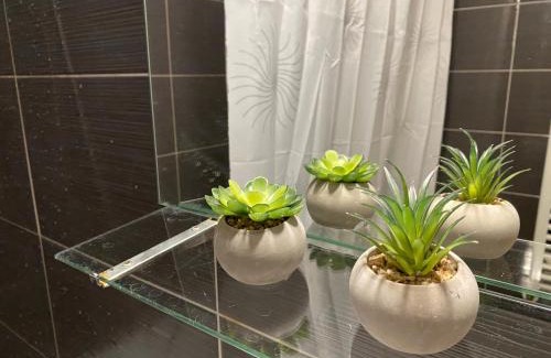 Brasov Wohnung | Sleep4-FreeP-MountainView-Balcony-PetFriendly