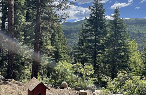 Bayfield Kabine | Slice of heaven! Log home w/huge deck & outstanding views on 7 acres w/creek