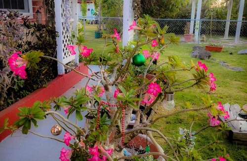 Patricks Island Haus | Slice of Paradise- 2 mins from Spotts Beach!