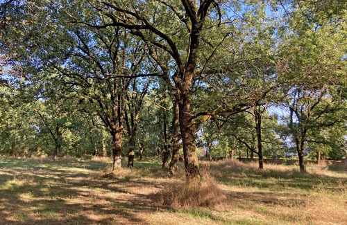 Saint-Antonin Noble Val Haus | Small 2/4 person gite with swimming pool to share with the large gite