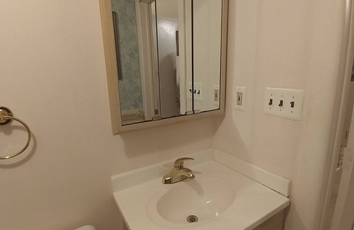 Mount Clemens Wohnung | Schönes Studio in der Nähe von St. Clair River & Clinton River & Stadt. Eigener Eingang