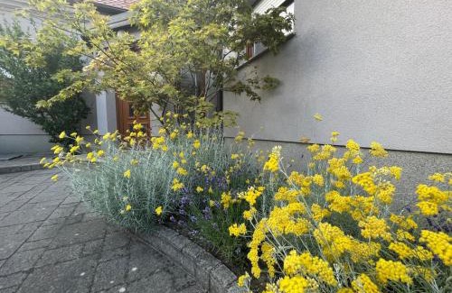 Samobor Haus | Smart Stay Apartment Samobor