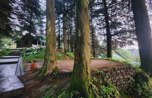 Banikhet Haus | SmartValley View Dalhousie-Nature`s Heaven
