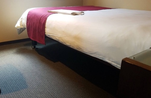 Okazaki Hotel | Smoking single Free breakfast observation bath w / Okazaki Aichi