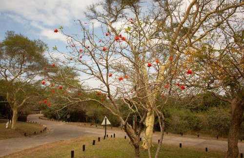 Sodwana Bay Haus | Sodwana Bay Lodge House 58