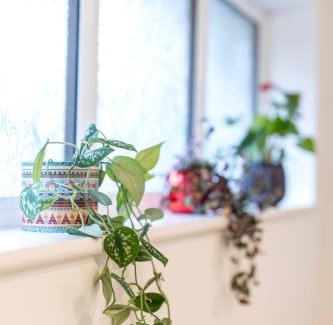 Bordon Wohnung | Soho House in Bordon