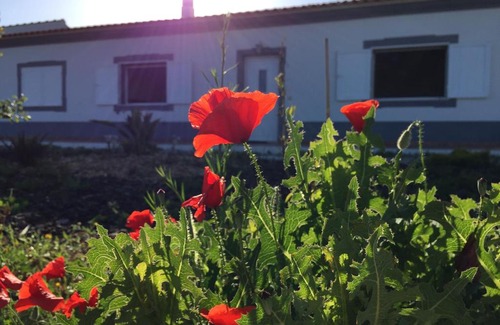 Albufeira Haus | Solar da Cotovia