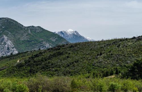 Sutomore Wohnung | Solaris Summer Resort Apartments