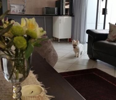 Somerset West Wohnung | Somerset west Mountain road cottage